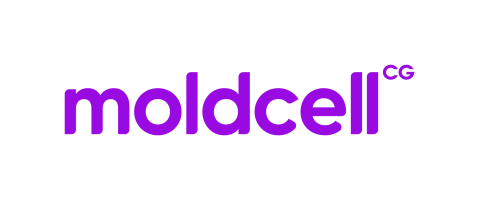 nmoodle.moldcell.md
